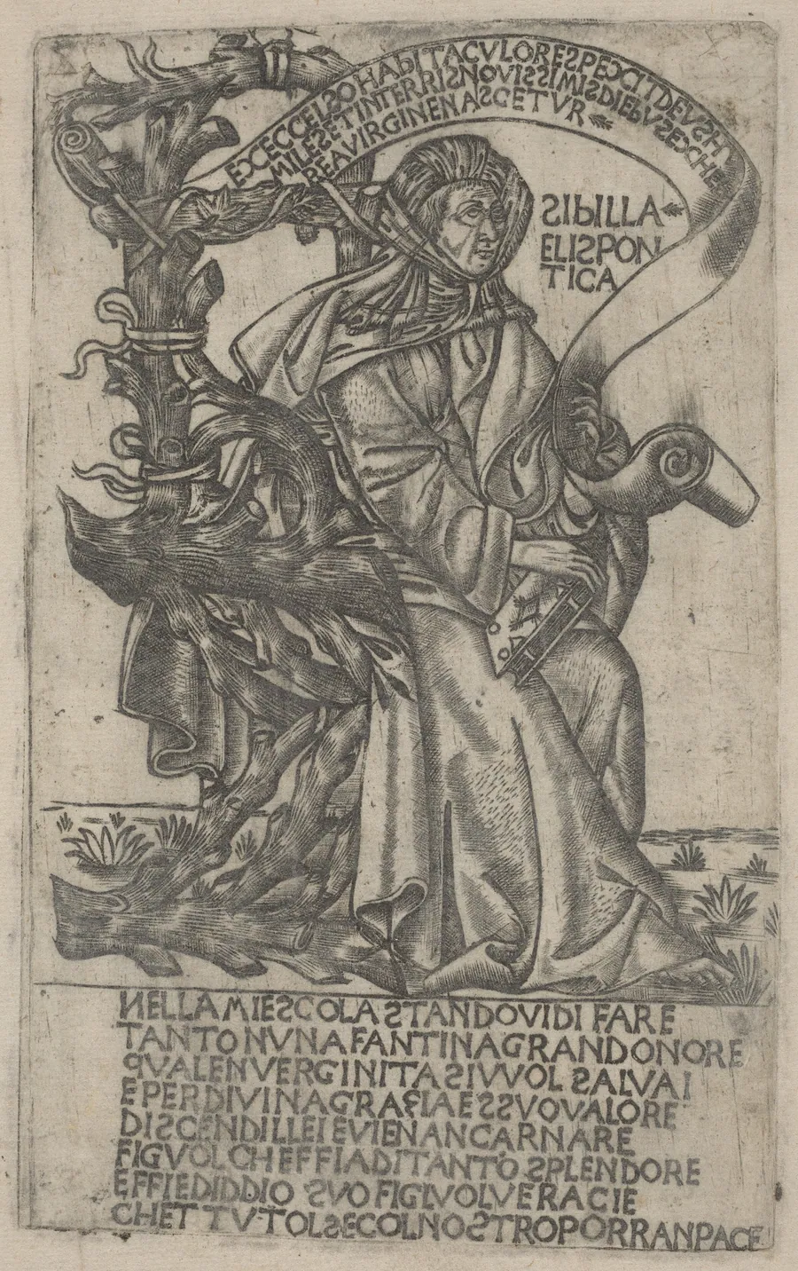 Hellespontine Sibyl by Italian 15th Century