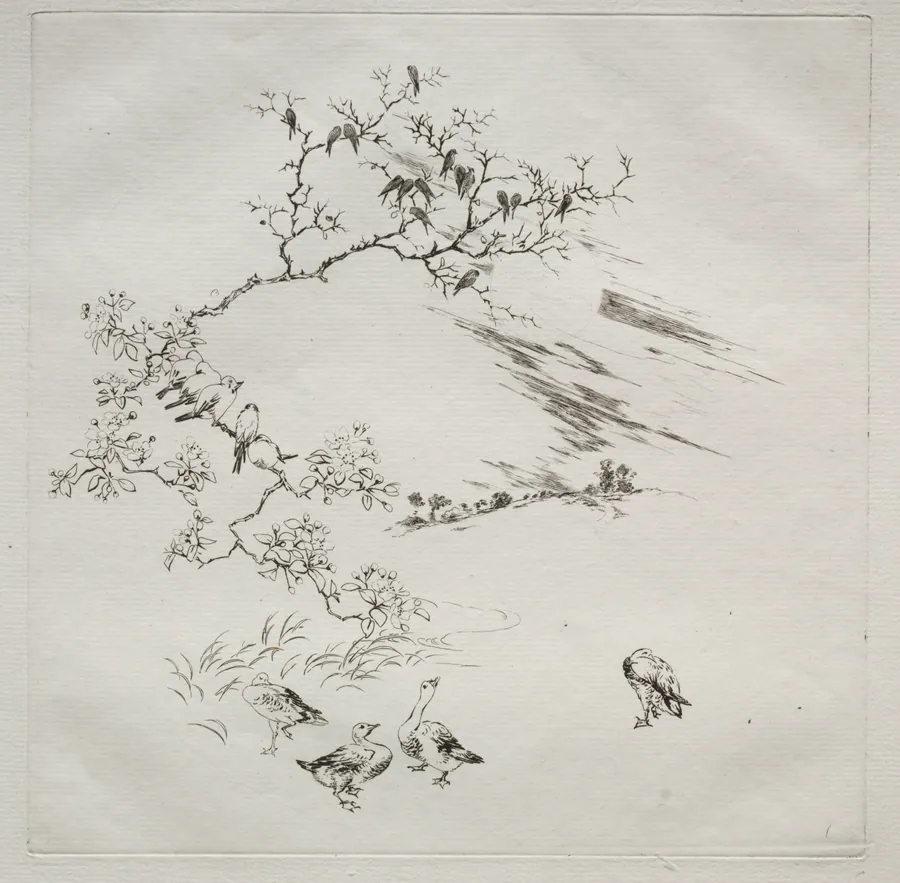 Parisian Service (Haviland service): Night (no. 7) by Félix Bracquemond