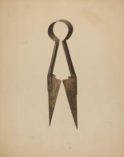 Trimming Shears