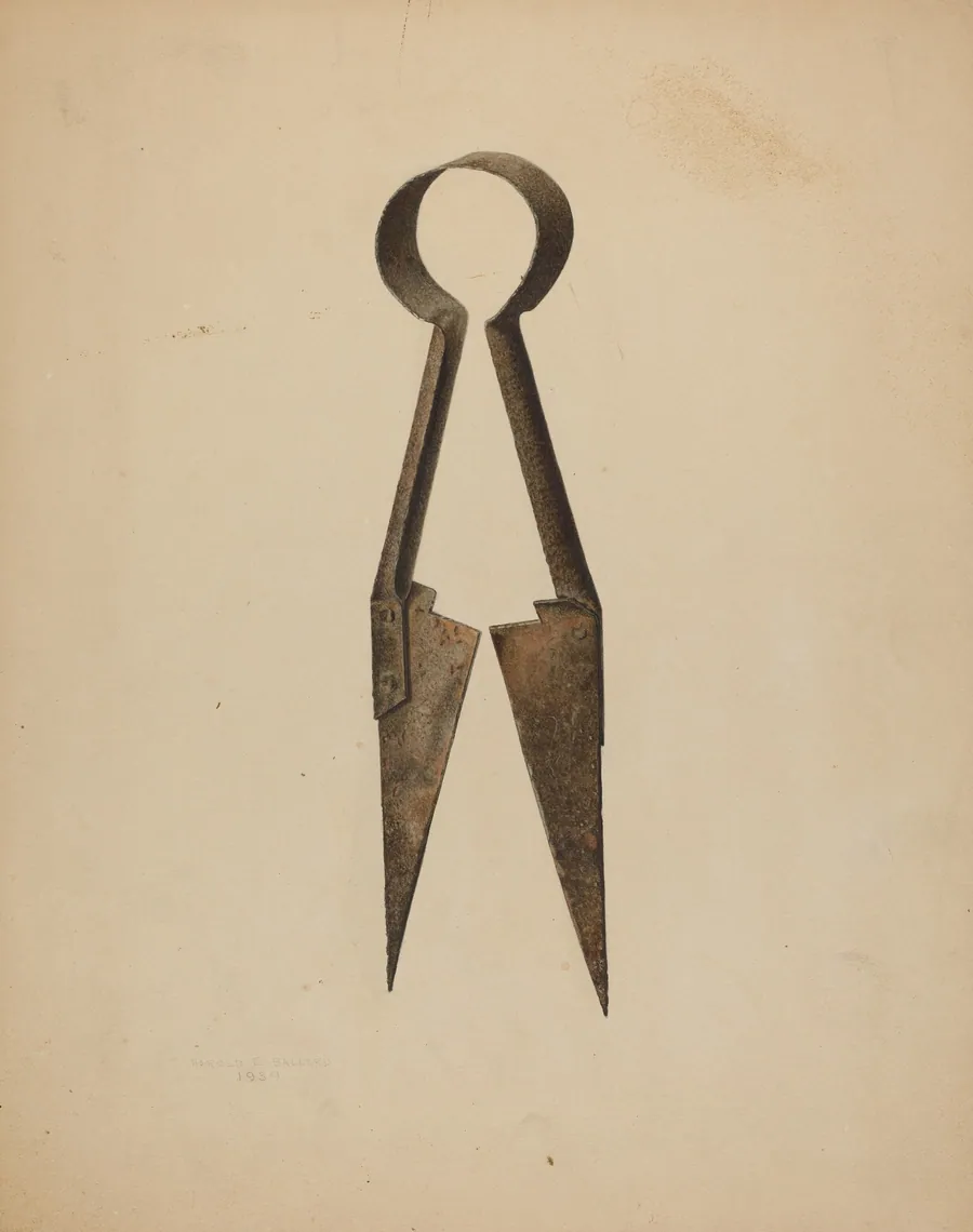 Trimming Shears by Harold Ballerd