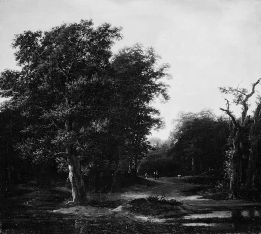 Skovlandskab by Cornelis Hendriksz. Vroom