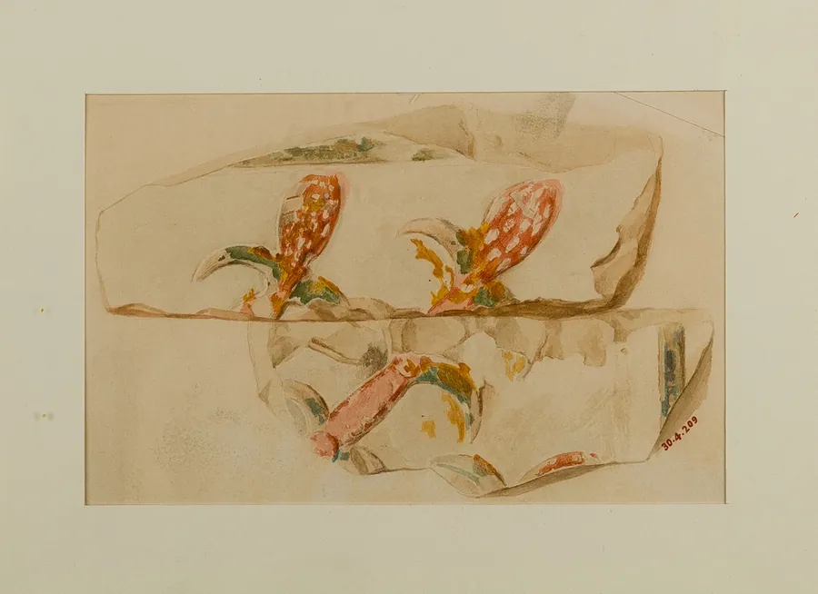 Water Plants by Hugh R. Hopgood