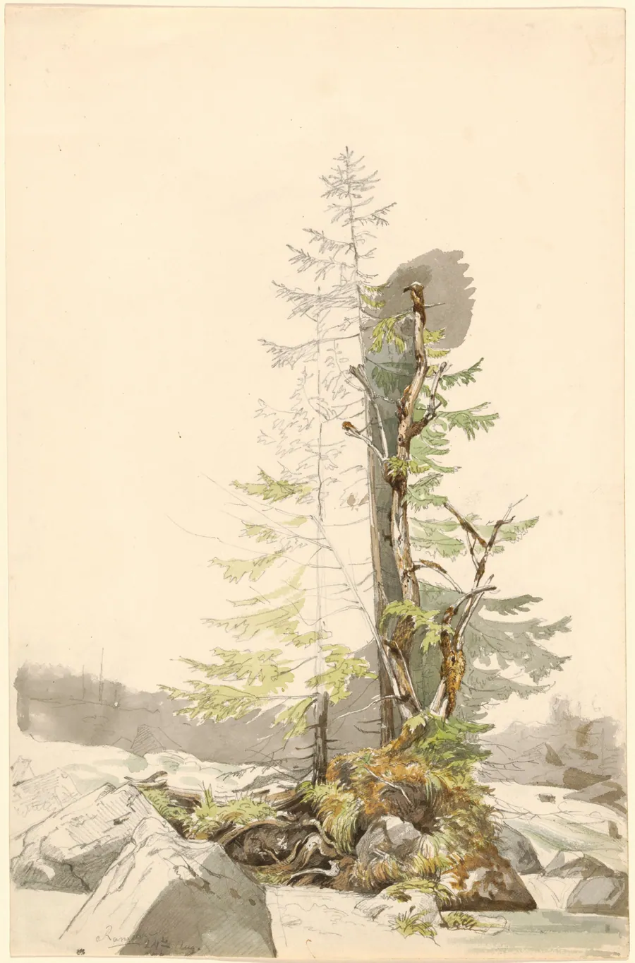 A Clump of Trees by a Rocky Stream in the Ramsau by Carl Morgenstern