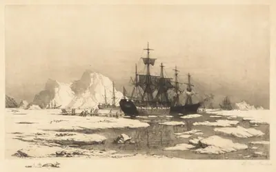 Among the Ice Floes
