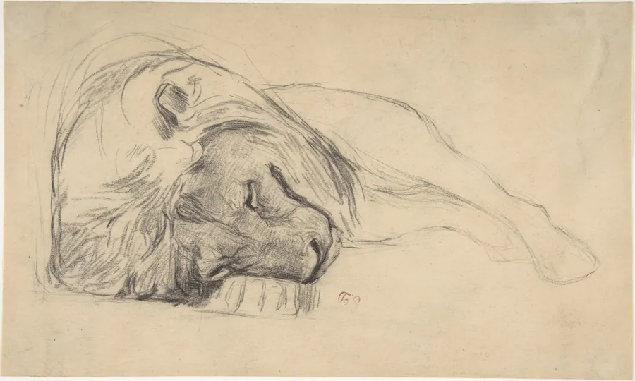 The Head of a Recumbent Lion by Pierre Andrieu