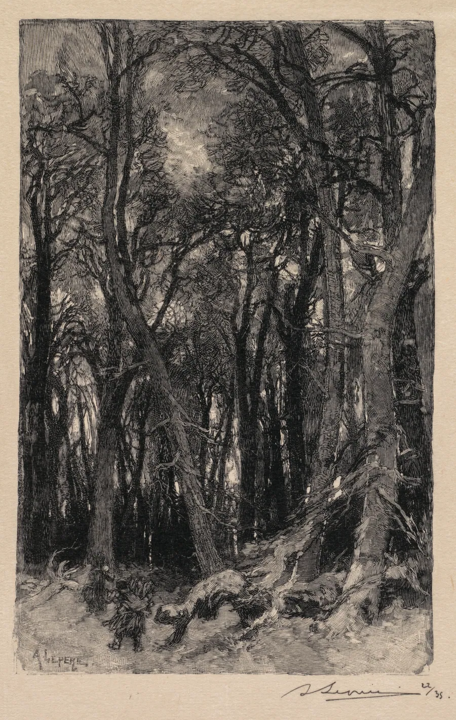 Fontainebleau Forest: Bas-Bréau (La Forêt de Fontainebleau: Le Bas-Bréau) by Auguste Louis Lepère