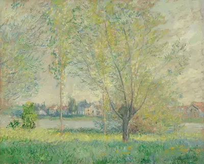 The Willows