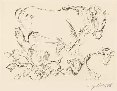 Verschiedene Tierstudien (Animal Studies)