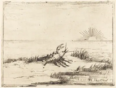 Crayfish Looking at the Sun