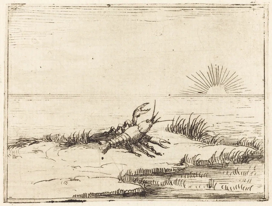 Crayfish Looking at the Sun by Jacques Callot
