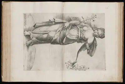 Flora