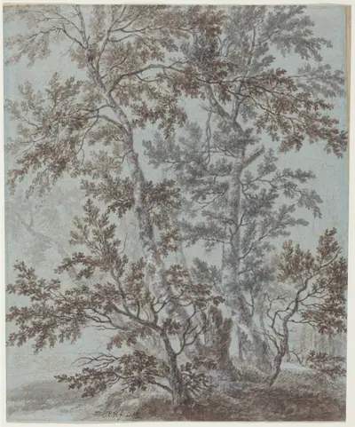 A Stand of Birch Trees