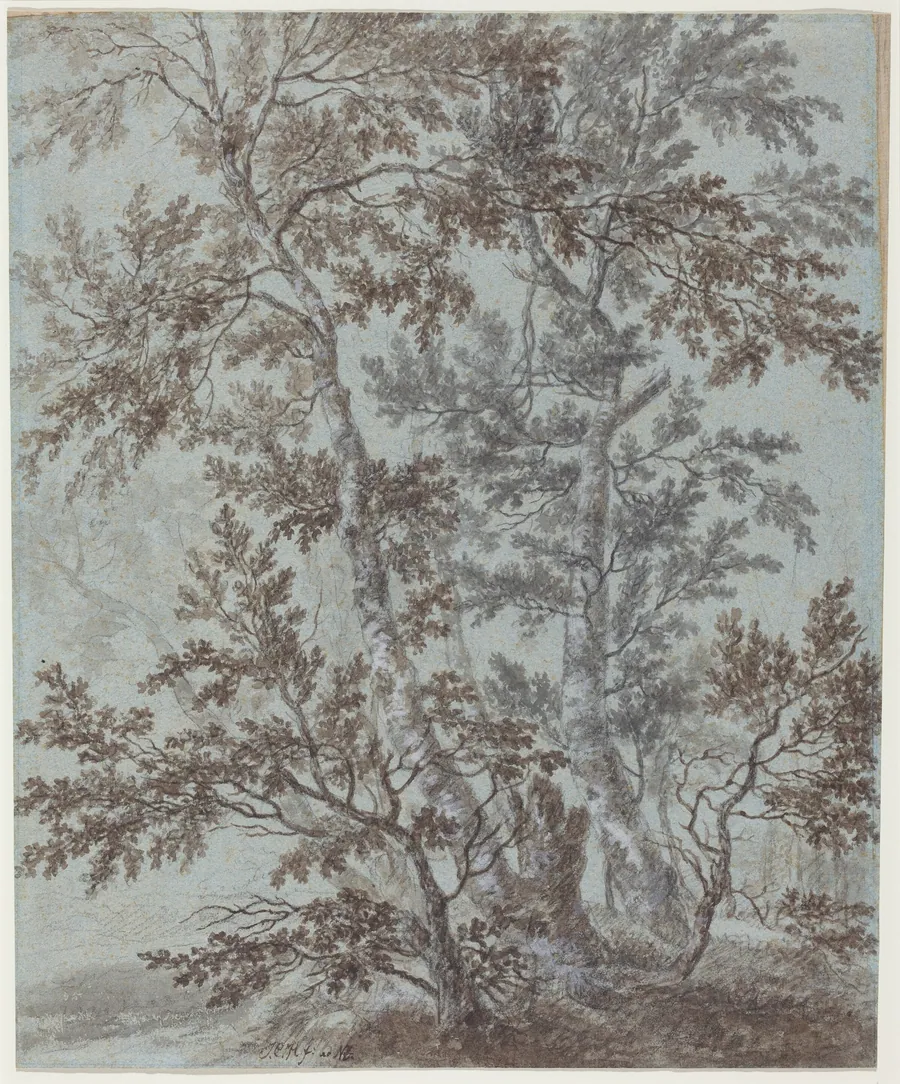 A Stand of Birch Trees by Johann Caspar Huber