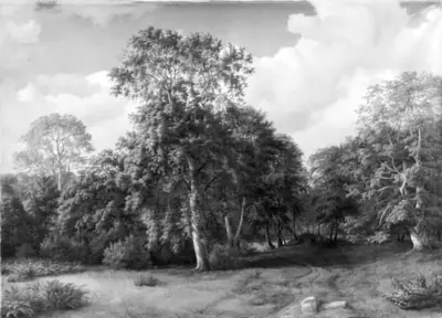Komponeret skovparti fra Præstevangen ved Frederiksborg