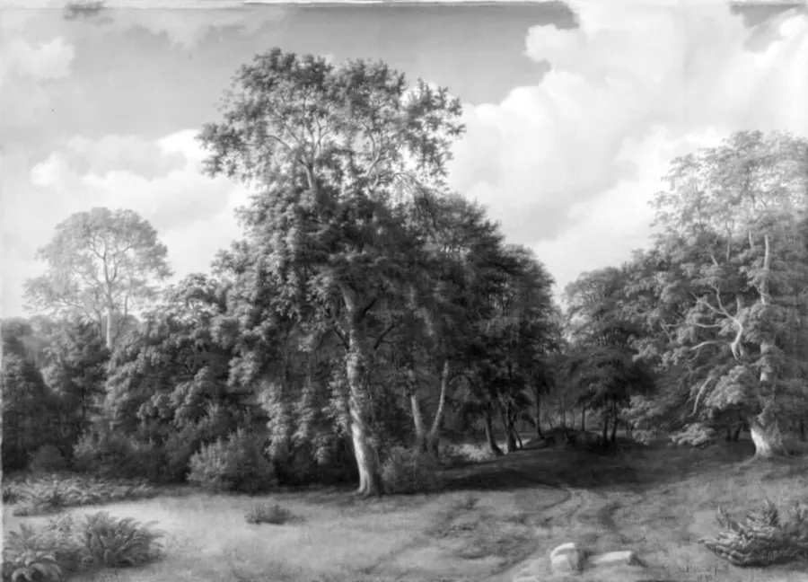Komponeret skovparti fra Præstevangen ved Frederiksborg by Ulrich Baudissin