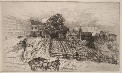 A City Farm—New York