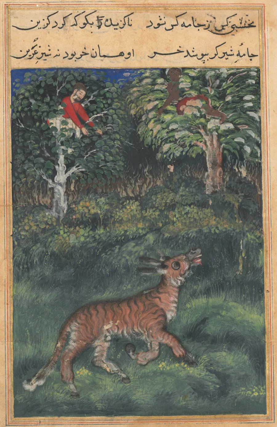 The donkey, in a tiger’s skin, reveals his identity by braying aloud, from a Tuti-nama (Tales of a Parrot): Thirty-first Night by Basavana
