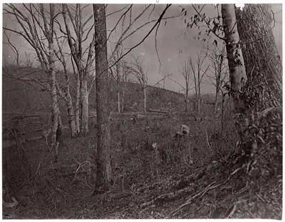 Bull Run, Virginia