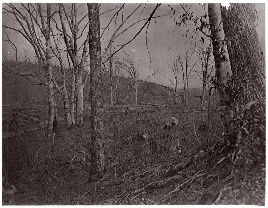 Bull Run, Virginia by George N. Barnard