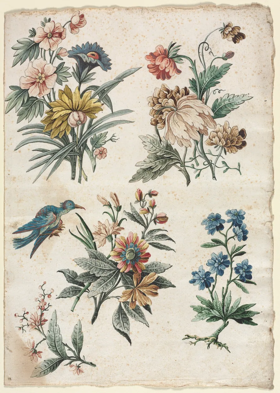 Floral Designs with a Blue Bird by Giacomo Cavenezia