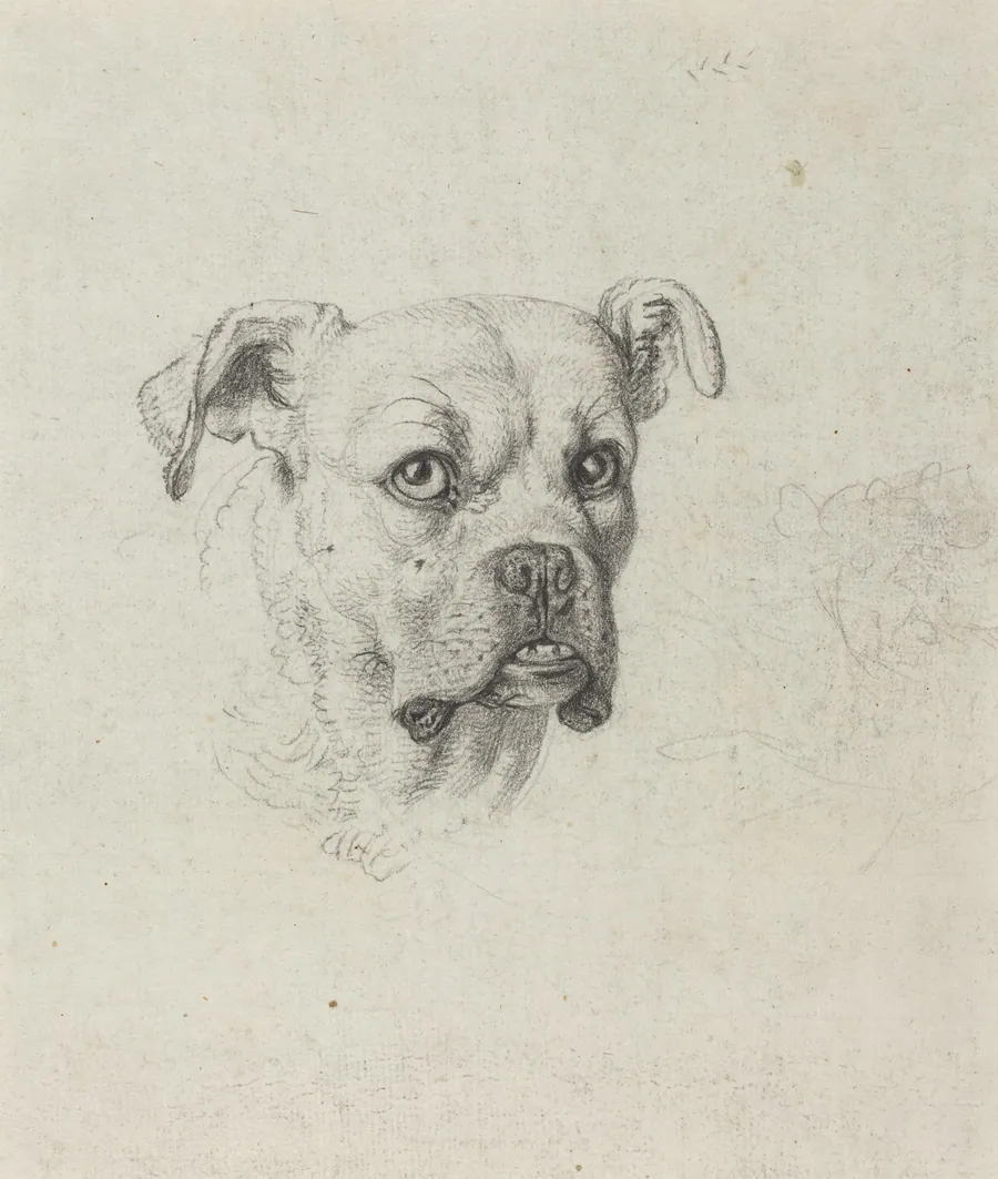 A Boxer by Johann Heinrich Wilhelm Tischbein