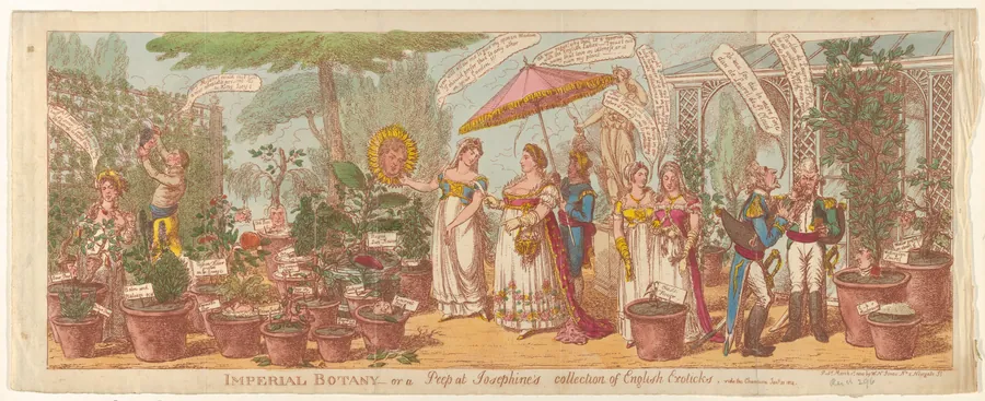 Imperial Botany–or a Peep at Josephine's Collection of Engilsh Exoticks, vide the Champion Jany 30, 1814 by George Cruikshank