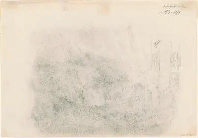Tree Trunks [verso]