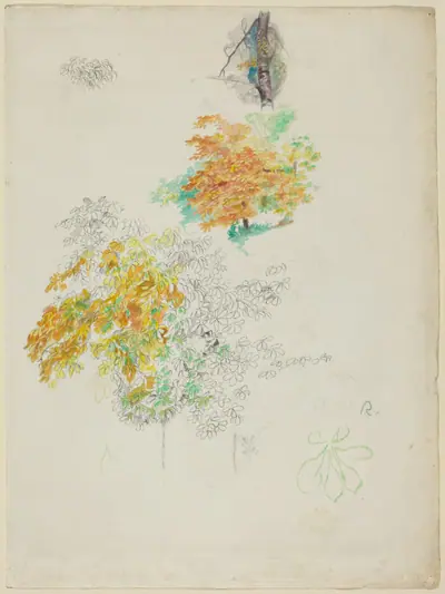 Studies of Trees