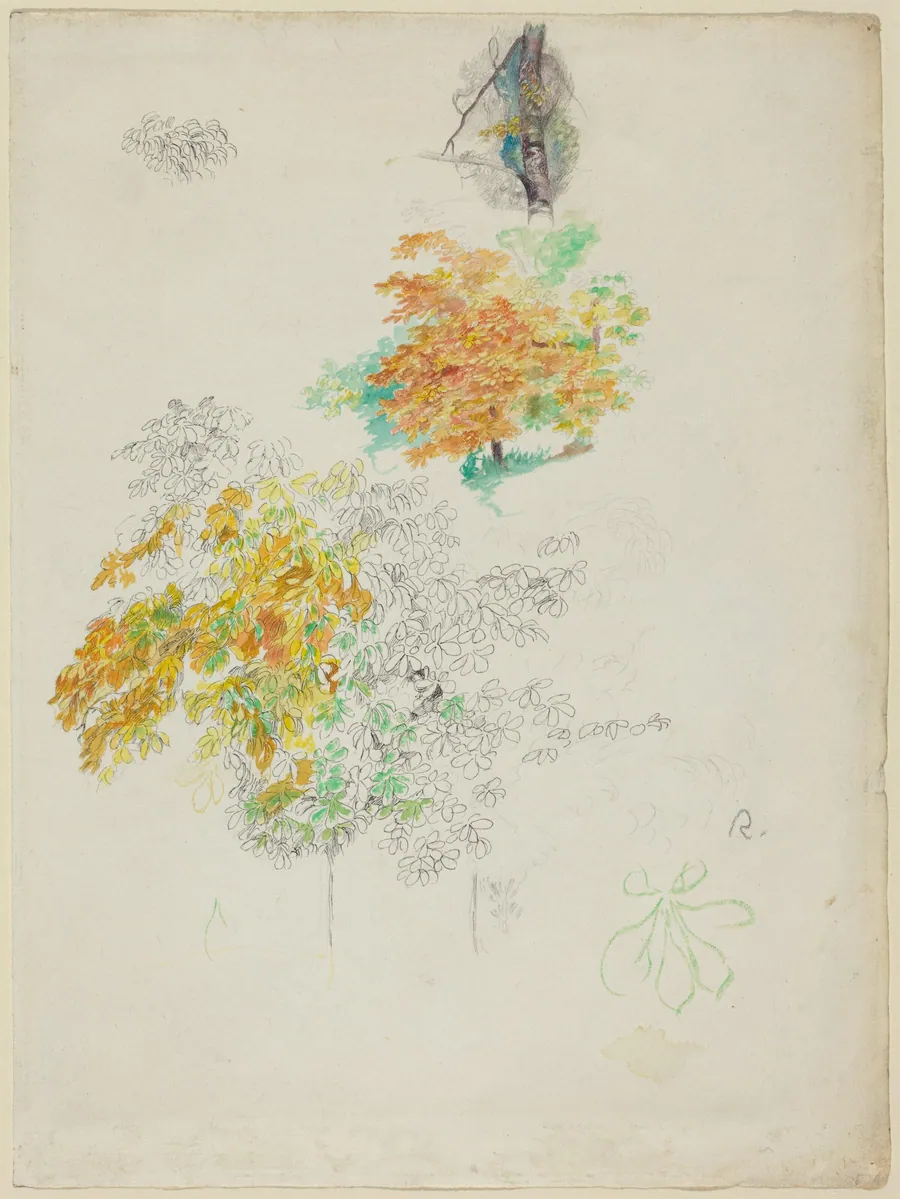 Studies of Trees by Auguste Renoir