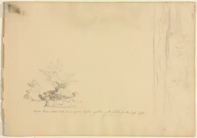 Landscape and Tree Studies (verso)