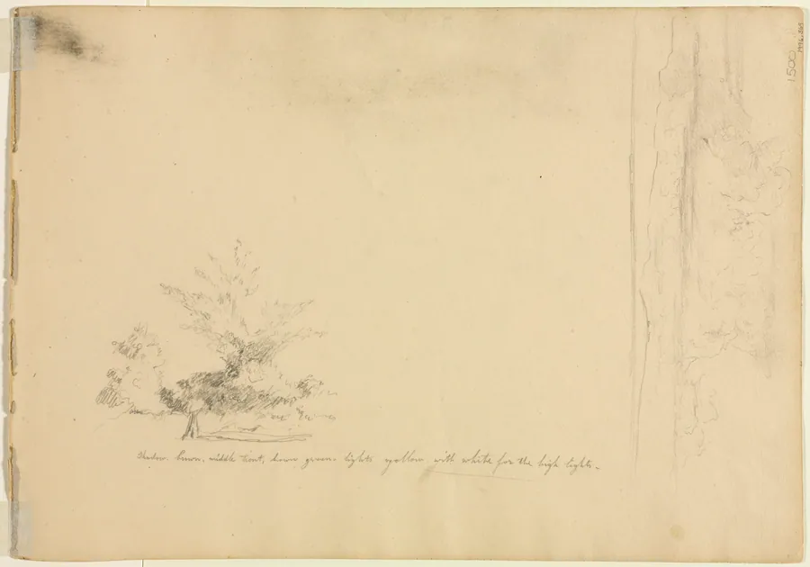 Landscape and Tree Studies (verso) by David Johnson