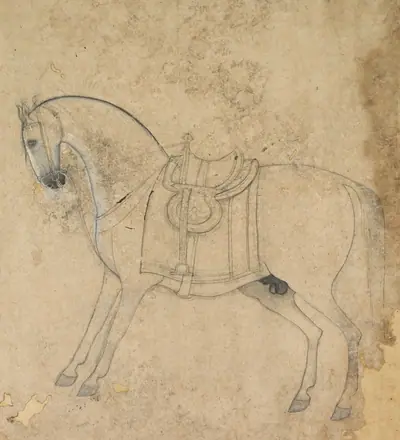 A saddled horse