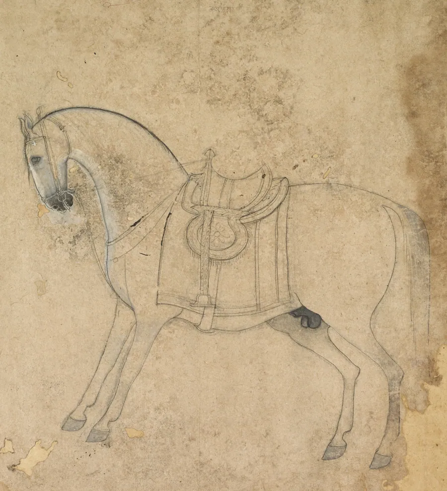 A saddled horse