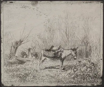 A Donkey in the Field