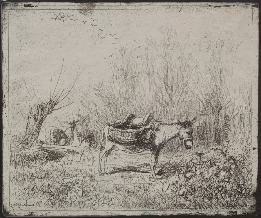 A Donkey in the Field by Charles François Daubigny