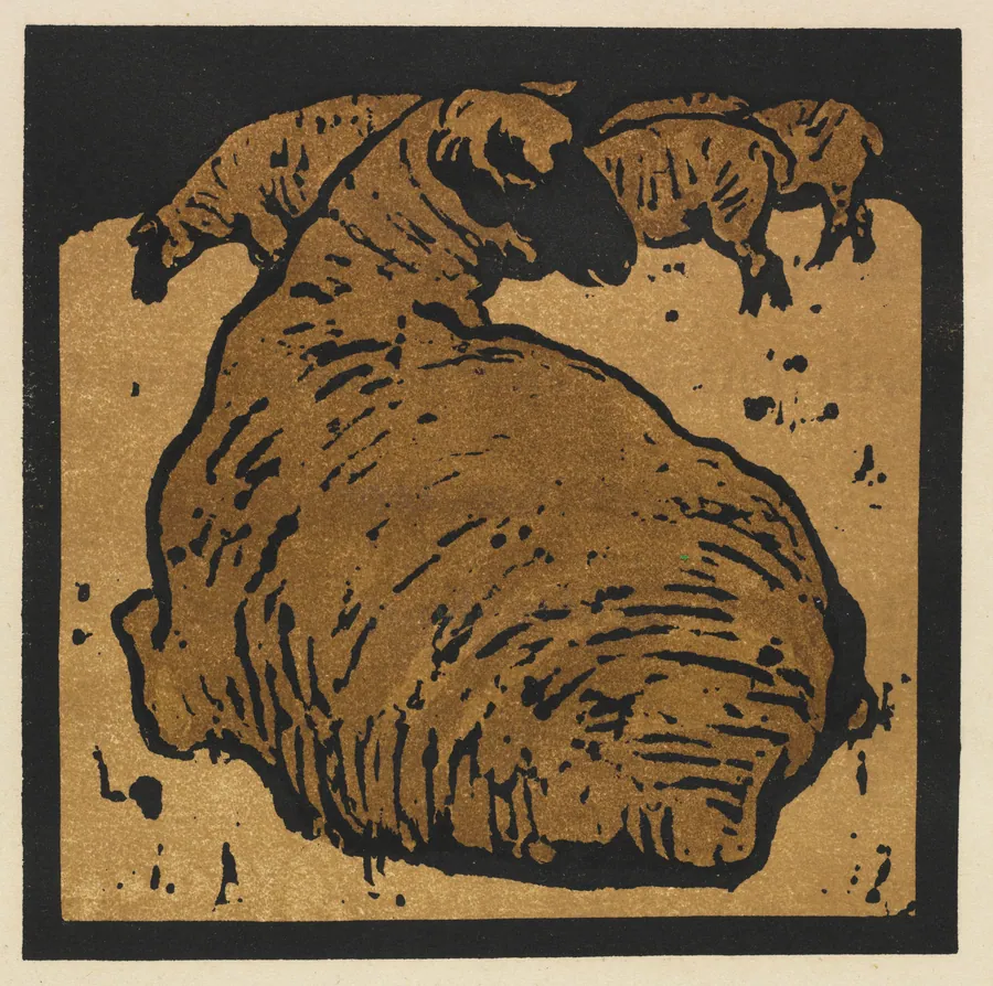 The Square Book of Animals: The Simple Sheep by William Nicholson