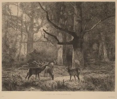 Forêt de Fontainebleau