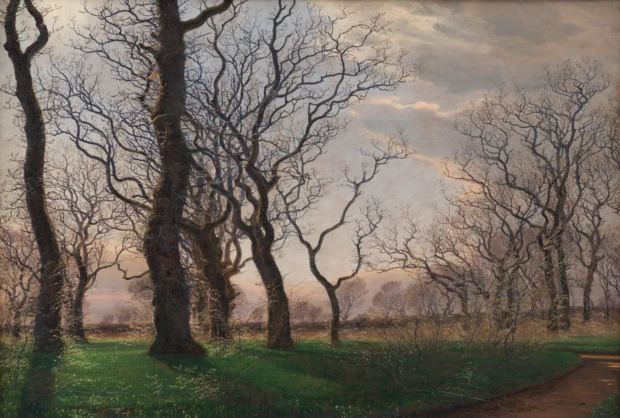 I udkanten af en egeskov en tidlig forårsmorgen by Janus la Cour