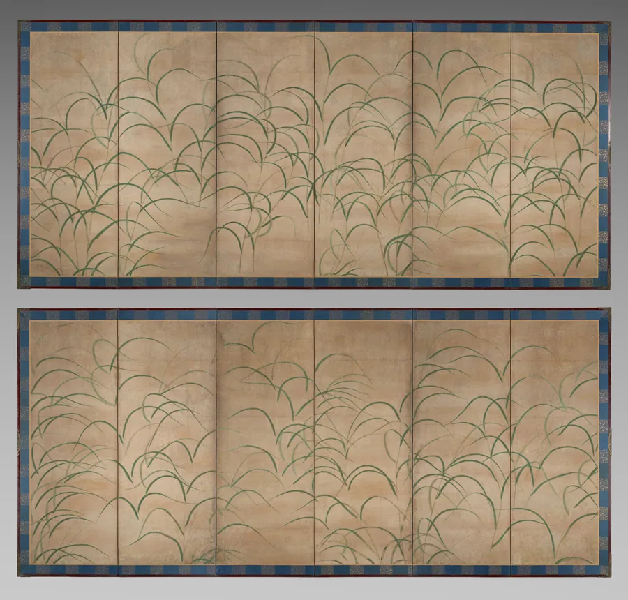 Susuki Grass