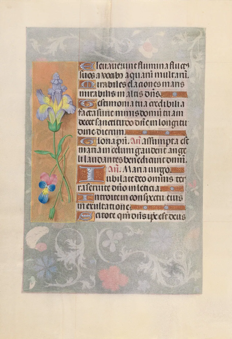 Hours of Queen Isabella the Catholic, Queen of Spain:  Fol. 116v by Master of the First Prayerbook of Maximillian