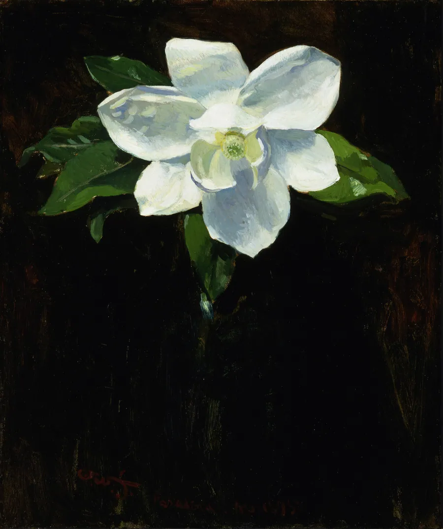 Magnolia by Charles Walter Stetson, born Tiverton, RI 1858-died Rome, Italy 1911