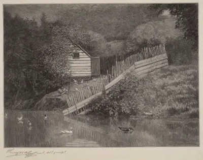 A Duck Pond