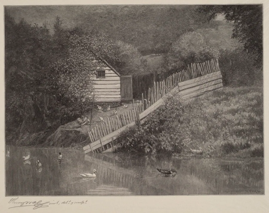 A Duck Pond by Henry Wolf