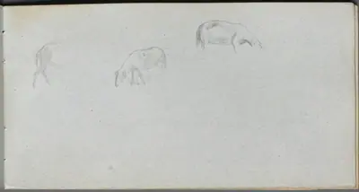 Sketchbook, page 20: Animal Study