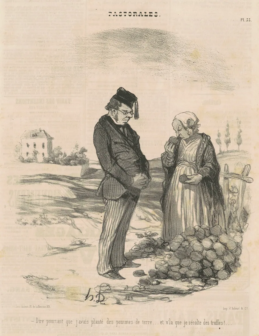 Dire pourtant que j'avais planté des pommes de terre ... by Honoré Daumier