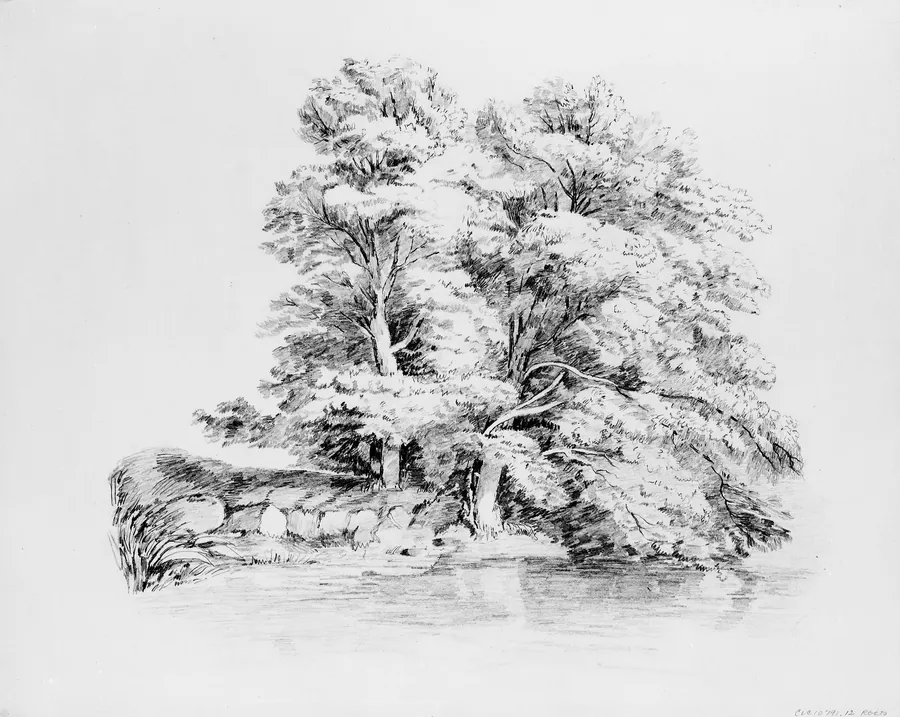 Trees by a Stream by John William Casilear