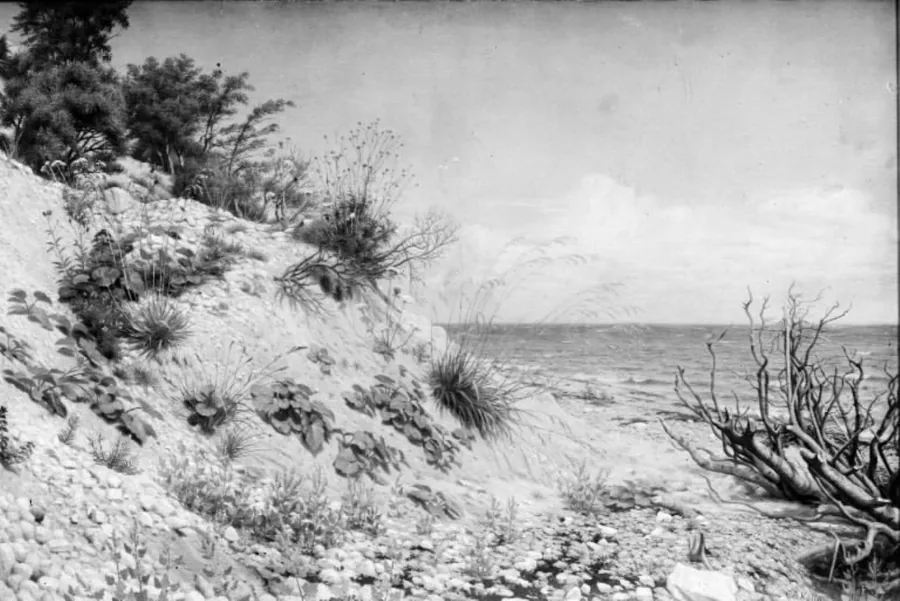 Parti ved Møens strand by C.A. Kølle