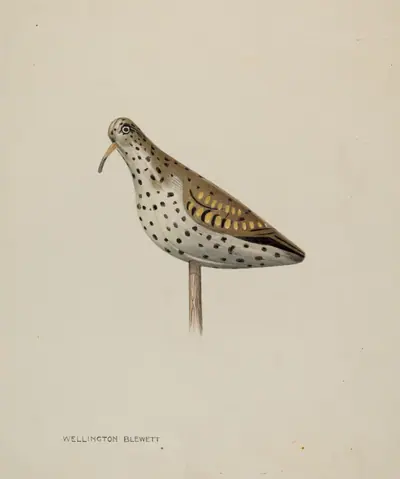 Decoy