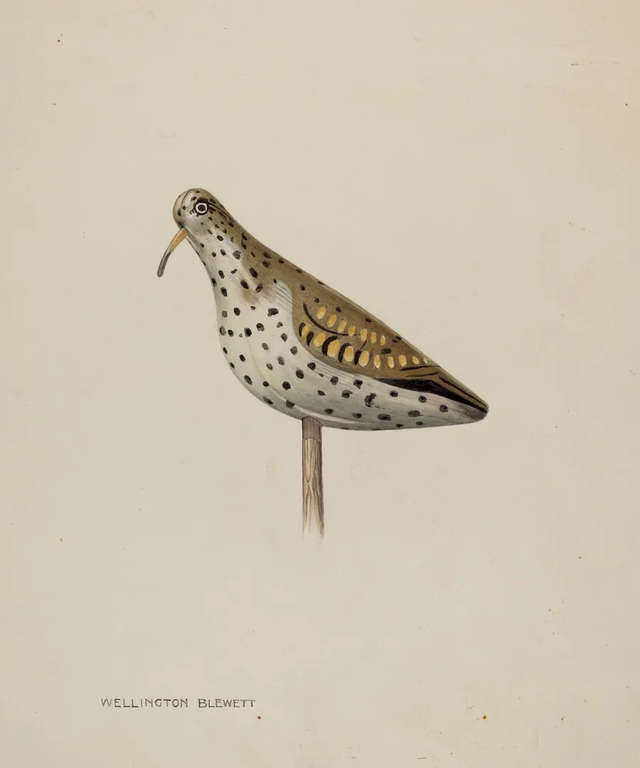 Decoy by Wellington Blewett