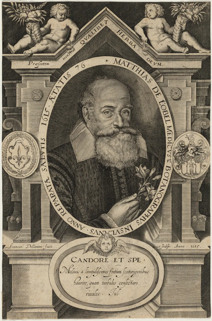 Matthias de l'Obel by Francis Delaram